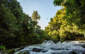 Okere Falls Zipline Experience