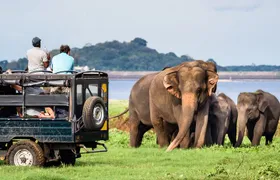 GO WILD! Double Safari Day Trip (Yala & Udawalawe) - Private & All Inclusive 