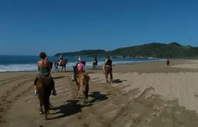 Horseback Riding on the Beach