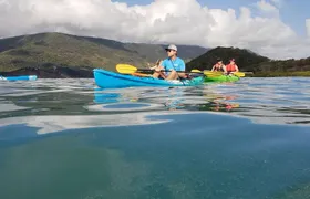 Kayak Turtle Tour from Palm Cove