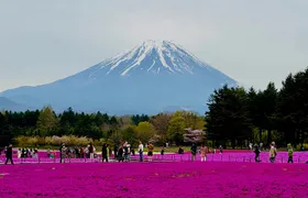 VIP Mt. Fuji & Hakone With Beautiful Lakes Customized Day Tour