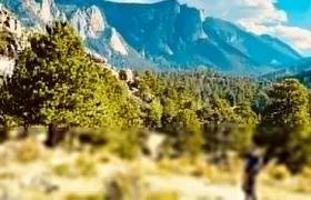 Estes Park Guided E-Bike Tour