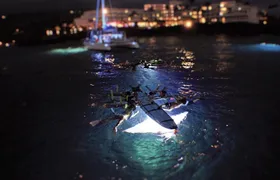 Late night manta ray snorkel experience