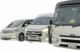 Private Transfer-Nadi International Airport to Hotels 