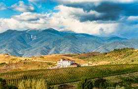 Wine Tasting & More in Villa Melnik – One of the World’s Best Wineries