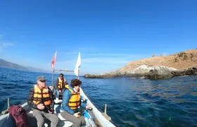 Penguins Watching - Navigation Cachagua Island & Lunch From VALPO