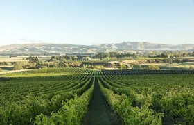 Waipara Wine Experience for 2 or more, inc tastings and lunch