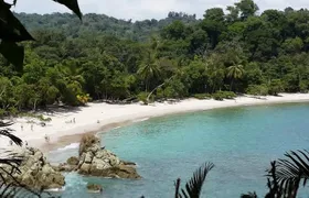 Manuel Antonio National Park Sightseeing and Wildlife Day Tour from San Jose