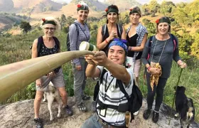 1 Day Trekking Group Tour With Bamboo Cooking / Chiang Rai