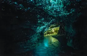 Waitomo Glowworm Cave Tour with Boat Ride