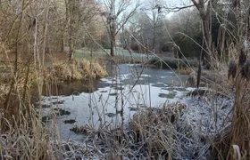 Skip-the-Line: Botanic Garden Entry Ticket