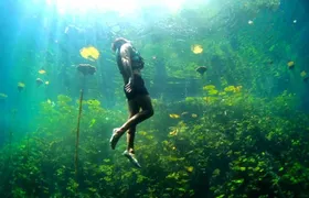 Xcaret 4-Cenotes-Guided Tour- Snacks, Lunch and Drinks included 