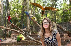 Bird Park & Iguassu Brazilian Side From Puerto Iguazú Hotels - Private Tour