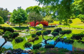 Private tour of Palermo, the Japanese and Botanical Gardens