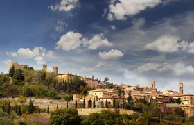 Wine Tasting Small Group Tour with Lunch in Brunello