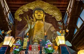Gifu: Half Day Private Tour Castle, Great Buddha and Old Town