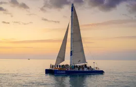 Catamaran sunset sail with champagne