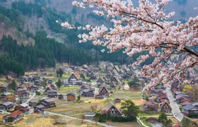1 Day Private Charter Tour to Shirakawa-go & Takayama