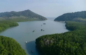 Ruea Mard Thai cruise with optional Koh Chang sightseeing experience