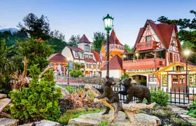 2 Hour Culture Tour in Helen