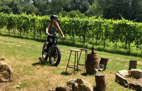 Wine Tour Ebike Experience