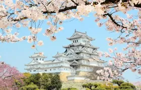 Himeji Half-Day Private Tour with Government-Licensed Guide