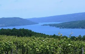 Keuka Lake Winery Tour