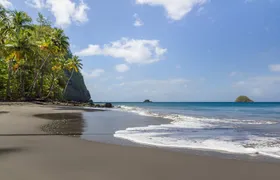 Tropical Island Private Tour of Martinique