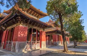 Qufu Private Walking Tour to Confucius Temple, Kong Mansion and Forest