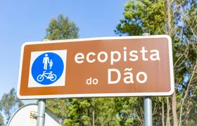 Ecopista do Dão full-day bike tour from Coimbra