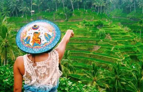 Best of Ubud Attractions: Private All-Inclusive Tour