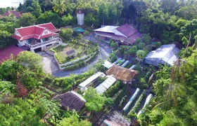 Organic Micro Farm and Thai Cooking Class in Koh Samui