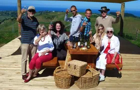 Napier Afternoon Winery Tasting + 4 Great Wineries