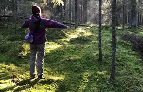 Hiking tour in Nuuksio National Park with meal and snacks