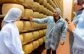 Emilia Flavors: Parmigiano, balsamic, cured meats & wines