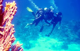 Diving experiences and packages from Dahab