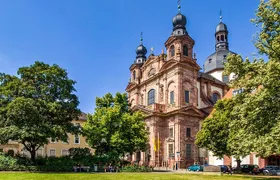 Explore Mannheim in 60 minutes with a Local