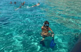 Shared snorkeling tour from Tropea to Capo Vaticano