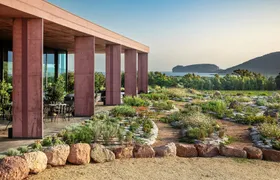 Guided vineyard tour with wine-tasting