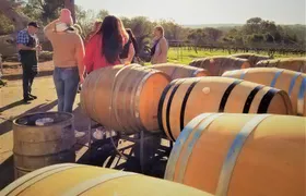 Secret Delights: Wine, Coffee, Artisan and Forest Tour