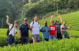 Guided Bike Tour to a Green Tea Farm in Shizuoka (not e-bikes)