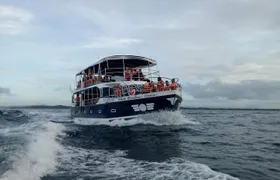 Whale Watching Experience in Mirissa