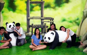 Admission e-ticket to the Penang 3D Art Museum