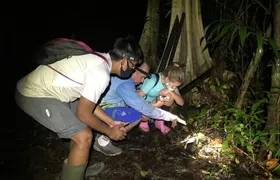 Manuel Antonio Jungle Night Tour