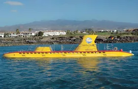 Submarine safari