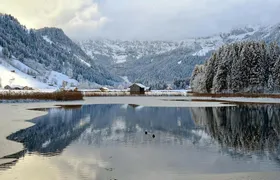 Bernese Oberland winter edition private tour from Zürich