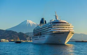 Private sightseeing tour from Shimizu Port / Van Taxi
