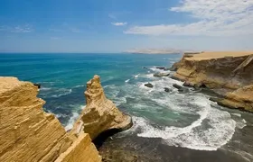 Paracas National Reserve Private Tour from Paracas or Pisco