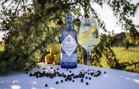 Citadelle Gin Distillery Tour in English