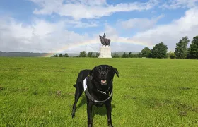 Bannockburn Battlefield Tour (Outdoor Tour operated by Freedom Tour Today)